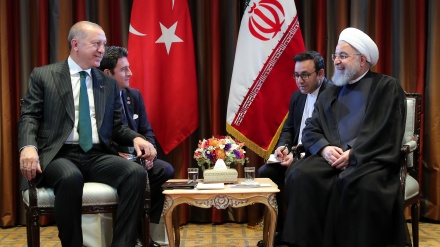 鲁哈尼会见埃尔多安：欢迎土耳其投资者的参与