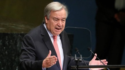 联合国秘书长对该组织成员国无能解决危机表示不满