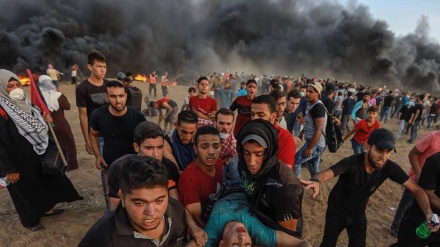 Momen Ketika Seorang Mahasiswa Palestina Tertembak