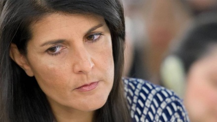 ניקי היילי: לא אתמודד בבחירות ב-2020