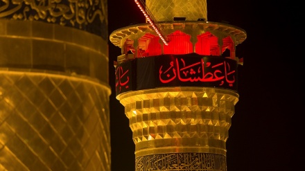 अरबईन की रात कर्बला की ज़ियारत