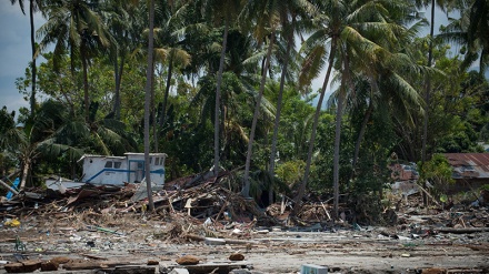  Erdbeben und Tsunami in Indonesien: Zahl der Toten gestiegen