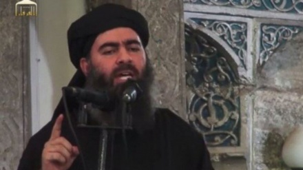 Líder de Daesh ordena ejecutar a 320 terroristas por desobediencia