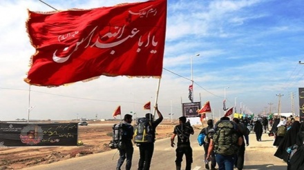  صدور ویزا برای اتباع افغانستان جهت شرکت در مراسم اربعین 