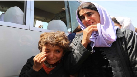 דיווח: דאעש שחרר בני ערובה בדרום מערב סוריה