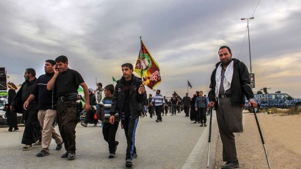 La grande marche d'Arbaïn à Karbala