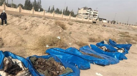 Mass grave of 1,500 Daesh victims discovered in northern Syria