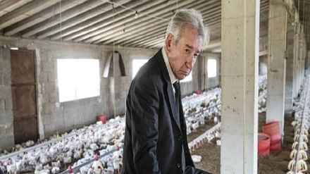 Irán celebra Semana del Cine Europeo 