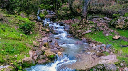 Masali Əsbə-Risə pozi təbyət