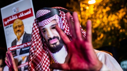 美国参议员强调：沙特王储在哈希克齐被谋杀案中起有作用