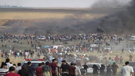 6 muertos y 192 heridos en 29º viernes de Marchas del Retorno en Gaza+video