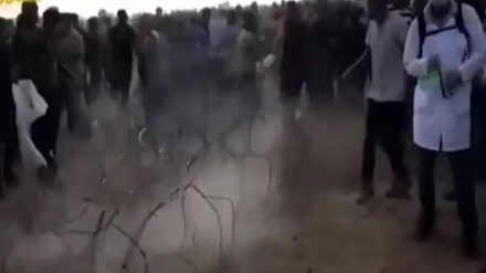 Pengunjuk Rasa Palestina Singkirkan Kawat Berduri 