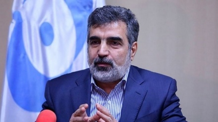 کمالوندی: ایران منتظر اقدامات عملی طرف اروپایی در حفظ برجام است 