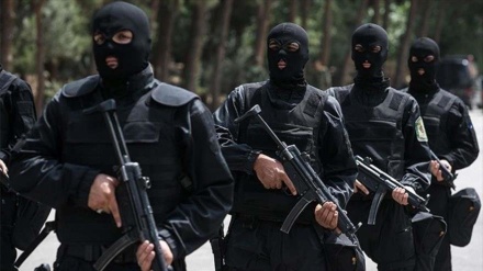 Desmantelan red terrorista infiltrada en territorio iraní