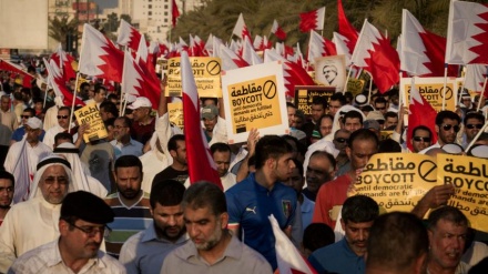 Bahrainis scoff at idea of sham elections, demand end of minority regime