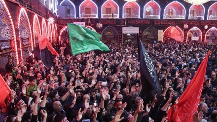 Video+fotos: En Karbala celebran 40 días tras aniv. del martirio del Imam Husein(2018)