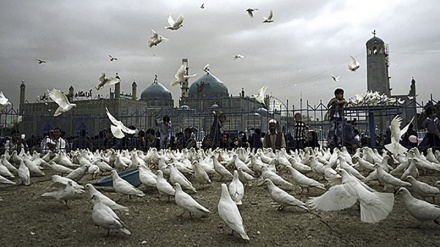 ধরণীর বেহেশত মসজিদ: আফগানিস্তানের কাবুদ জামে মসজিদ