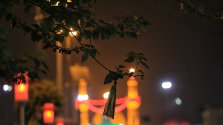 (FOTO) Karbala, i pellegrini dell' Imam Hossein (as) - 2