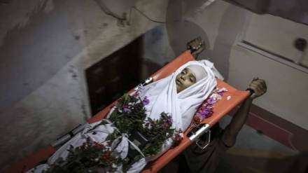 Sniper Zionis Tembak Kepala Bocah 12 Tahun
