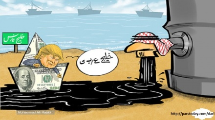 خلیج نفتی و پرسود ترامپ!