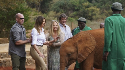 Istri Trump Hampir Diseruduk Gajah