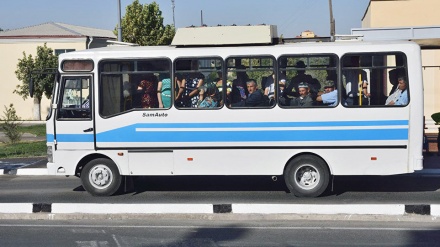 Самарқандда жамоат транспорти йўловчиларга бепул хизмат қилмоқда