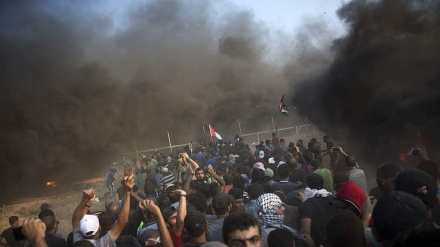 Sniper Israel Tembak Mati Lima Pengunjuk Rasa Palestina