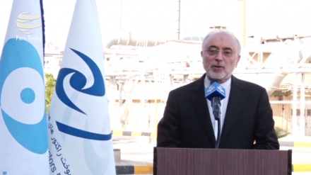  آمادگی ایران برای انتقال دانش فناوری هسته ای به کشورهای همسایه