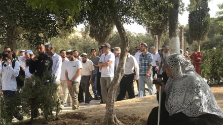Lebih dari 160 Pemukim Zionis Masuki Masjid al-Aqsa