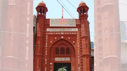 Şiiə yolə alimon-58