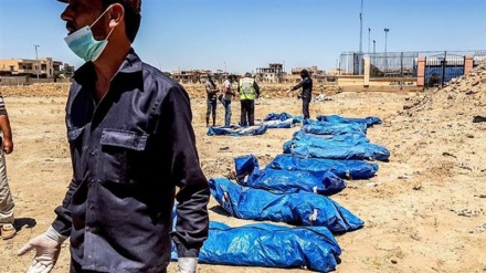 Mass grave of over 1,500 victims slain in US-led strikes found in Syria’s Raqqah