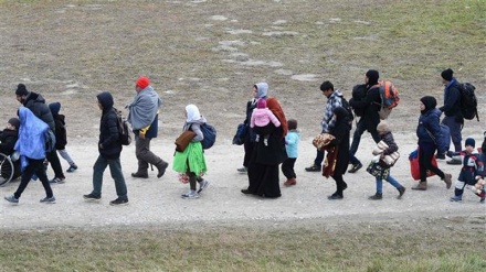 Austria refuses to sign UN migration pact