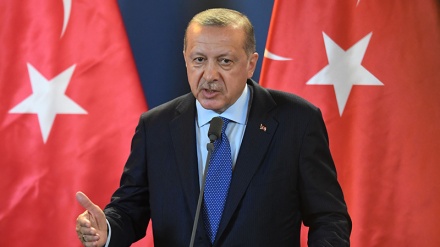 埃尔多安强调把在利雅得被捕的18名哈希克齐被杀案嫌犯引渡到安卡拉