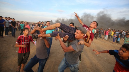 OKB: 29,000 palestinezë janë martirizuar ose plagosur nga sulmet e ushtrisë izraelite