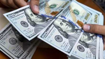 Ўзбекистон валюта курслари: доллар яна кўтарилди 