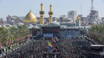کربلای معلی در روز اربعین در قاب تصویر