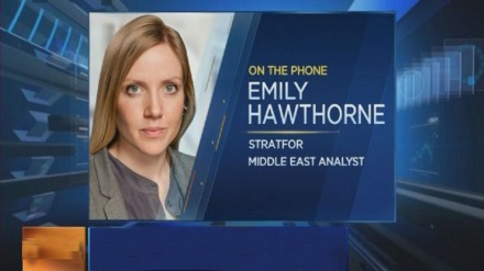 美国专家：华盛顿制裁伊朗的目的将不会实现