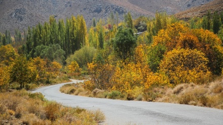 イメージが語るイラン；ケルマーン州バルデスイールの秋の様子
