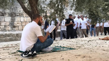 340 Pemukim Zionis Nodai Kesucian Masjid al-Aqsa 