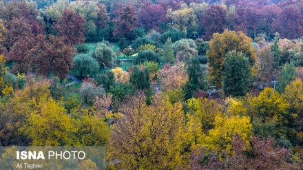 Прекрасная осень в Тегеране