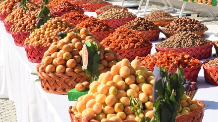 صادرات میوه‌های افغانستان از طریق بندر چابهار ایران 