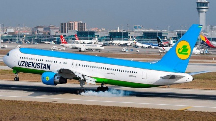 Двигателга тушган қуш: Истанбулдан самолёт учиб кета олмади  