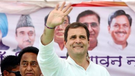 পদত্যাগ করেছেন কংগ্রেস সভাপতি রাহুল গান্ধি