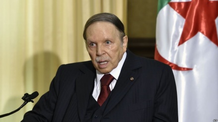 Algeria: Bouteflika to step down after new vote