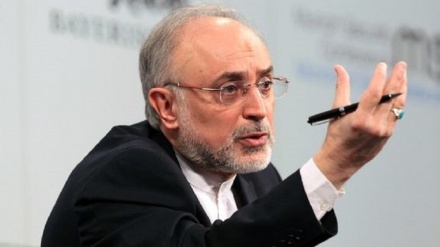 イラン原子力庁長官、核合意と日・イ関係について見解表明