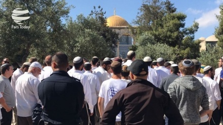 تعرض دهها صهیونیست به مسجدالاقصی