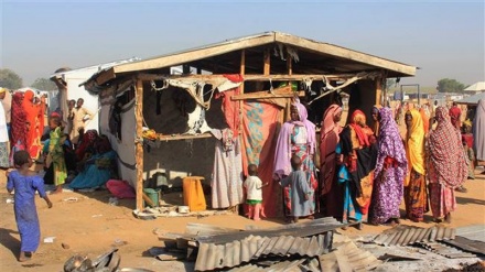 175 dead, over 10,000 affected by Nigeria cholera outbreak 