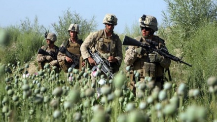 The drug catastrophe in Afghanistan