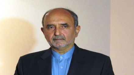 سفیر ایران در پاکستان: تهران از همبستگی امت اسلامی استقبال می کند