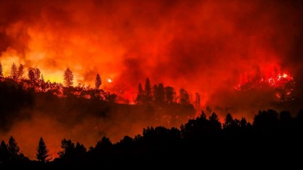 美国加州火灾死亡人数上升至31人